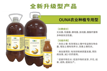 EM土壤改良公(gōng)司介紹草(cǎo)莓黃萎病的原因(圖3)