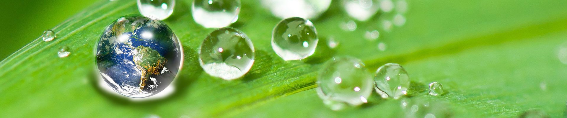 江蘇沃納生物(wù)科(kē)技(jì )有(yǒu)限公(gōng)司 江蘇沃納生物(wù)科(kē)技(jì )有(yǒu)限公(gōng)司